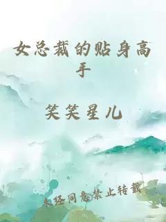 女总裁的贴身高手