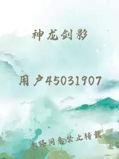 神龙剑影
