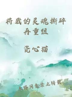将我的灵魂撕碎再重组
