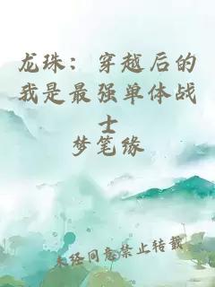 龙珠:穿越后的我是最强单体战士