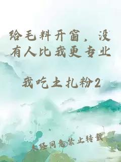 给毛料开窗,没有人比我更专业