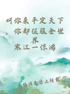 叫你来平定天下,你却征服全世界