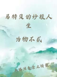 马特贝的炒股人生